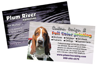 Cards printed in full color make an impression